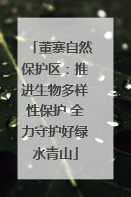 董寨自然保护区：推进生物多样性保护 全力守护好绿水青山