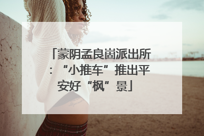 蒙阴孟良崮派出所：“小推车”推出平安好“枫”景