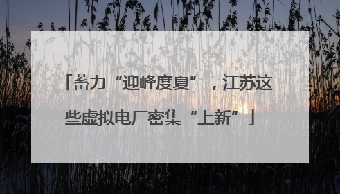 蓄力“迎峰度夏”，江苏这些虚拟电厂密集“上新”