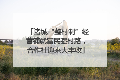 诸城“整村制”经营铺就富民强村路，合作社迎来大丰收
