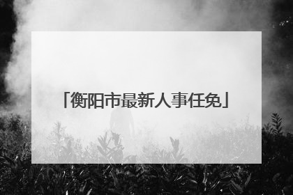 衡阳市最新人事任免