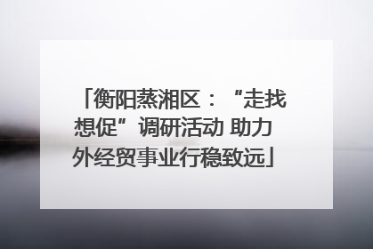 衡阳蒸湘区：“走找想促”调研活动 助力外经贸事业行稳致远
