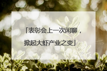 表彰会上一次闲聊，掀起大虾产业之变