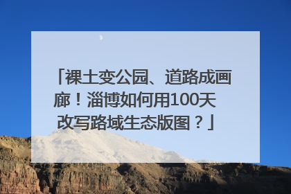 裸土变公园、道路成画廊！淄博如何用100天改写路域生态版图？