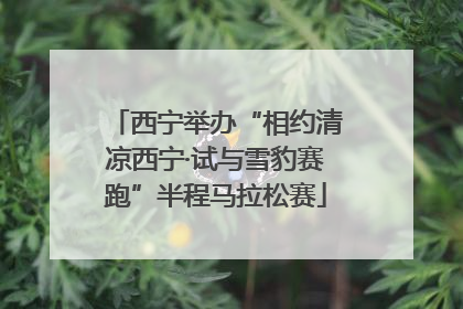 西宁举办“相约清凉西宁·试与雪豹赛跑”半程马拉松赛