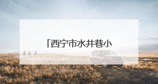 西宁市水井巷小学：牢记党的教导 争做强国少年