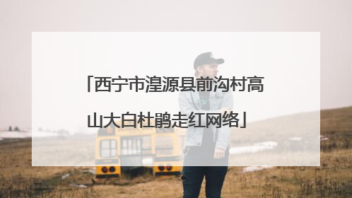 西宁市湟源县前沟村高山大白杜鹃走红网络