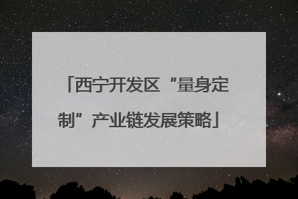 西宁开发区“量身定制”产业链发展策略