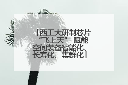 西工大研制芯片“飞上天” 赋能空间装备智能化、长寿化、集群化