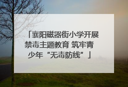 襄阳磁器街小学开展禁毒主题教育 筑牢青少年“无毒防线”