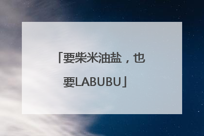 要柴米油盐，也要LABUBU