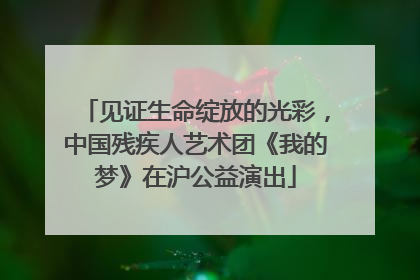 见证生命绽放的光彩，中国残疾人艺术团《我的梦》在沪公益演出