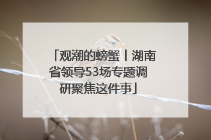 观潮的螃蟹丨湖南省领导53场专题调研聚焦这件事