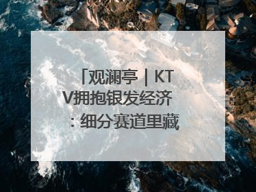 观澜亭｜KTV拥抱银发经济：细分赛道里藏着潜在需求