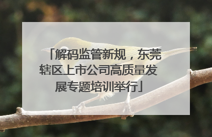 解码监管新规，东莞辖区上市公司高质量发展专题培训举行