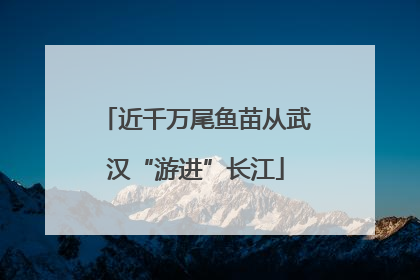 近千万尾鱼苗从武汉“游进”长江