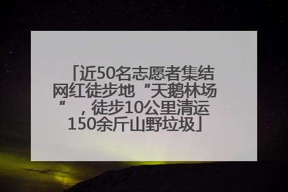 近50名志愿者集结网红徒步地“天鹅林场”，徒步10公里清运150余斤山野垃圾
