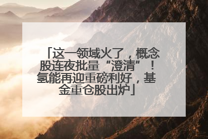 这一领域火了，概念股连夜批量“澄清”！氢能再迎重磅利好，基金重仓股出炉