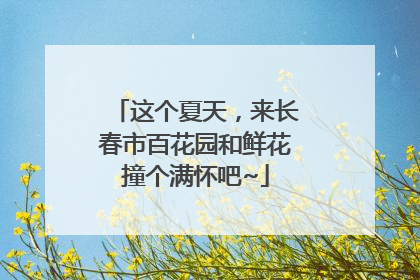 这个夏天，来长春市百花园和鲜花撞个满怀吧~