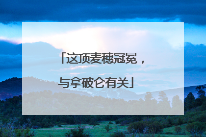 这顶麦穗冠冕，与拿破仑有关