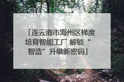 连云港市海州区梯度培育智能工厂 解锁“智造”升级新密码