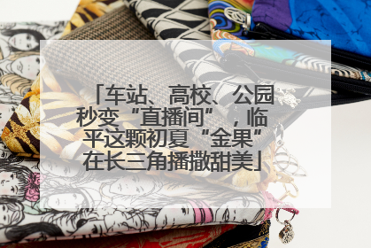 车站、高校、公园秒变“直播间”，临平这颗初夏“金果”在长三角播撒甜美