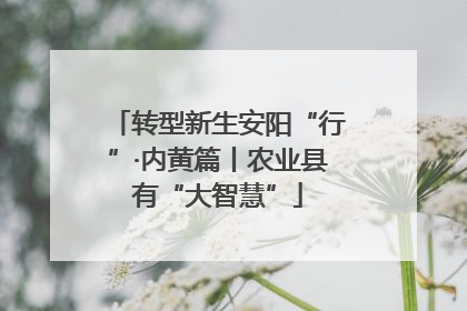 转型新生安阳“行”·内黄篇丨农业县有“大智慧”