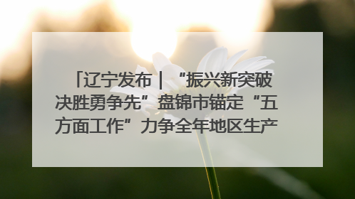 辽宁发布｜“振兴新突破 决胜勇争先”盘锦市锚定“五方面工作”力争全年地区生产总值增长5.5%左右