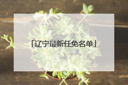 辽宁最新任免名单