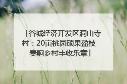 谷城经济开发区洞山寺村：20亩桃园硕果盈枝 奏响乡村丰收乐章