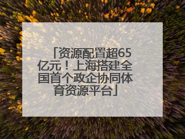资源配置超65亿元！上海搭建全国首个政企协同体育资源平台