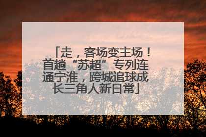 走，客场变主场！首趟“苏超”专列连通宁淮，跨城追球成长三角人新日常