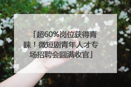超60%岗位获得青睐！微短剧青年人才专场招聘会圆满收官