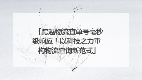 跨越物流查单号毫秒级响应！以科技之力重构物流查询新范式