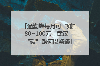 通勤族每月可“赚”80~100元，武汉“碳”路何以畅通