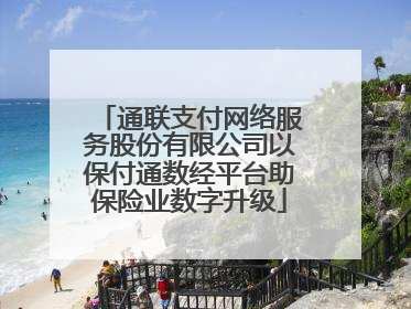 通联支付网络服务股份有限公司以保付通数经平台助保险业数字升级