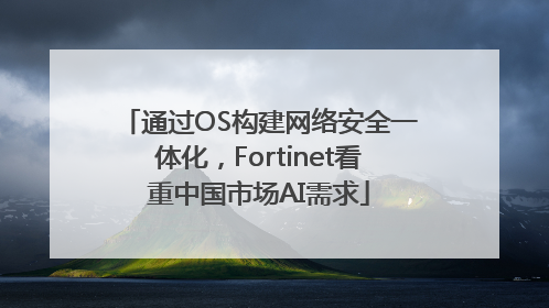 通过OS构建网络安全一体化，Fortinet看重中国市场AI需求
