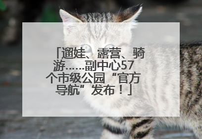 遛娃、露营、骑游……副中心57个市级公园“官方导航”发布！
