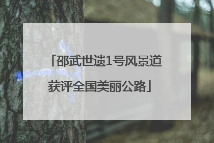 邵武世遗1号风景道获评全国美丽公路