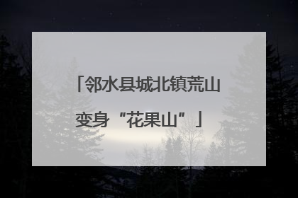 邻水县城北镇荒山变身“花果山”