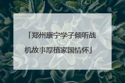 郑州康宁学子倾听战机故事厚植家国情怀