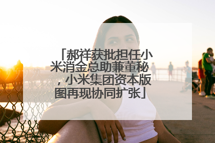 郝祥获批担任小米消金总助兼董秘，小米集团资本版图再现协同扩张