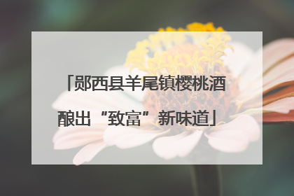 郧西县羊尾镇樱桃酒酿出“致富”新味道