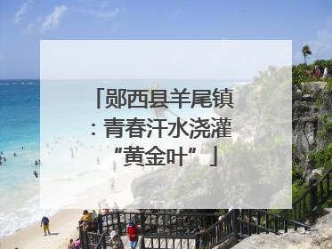 郧西县羊尾镇：青春汗水浇灌“黄金叶”