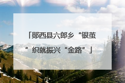 郧西县六郎乡“银茧”织就振兴“金路”