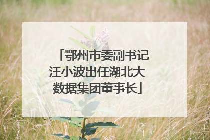 鄂州市委副书记汪小波出任湖北大数据集团董事长