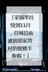 采摘季持续到11月，谷城县庙滩镇邓家湾村的蜜桃丰收啦！
