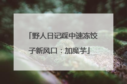 野人日记踩中速冻饺子新风口：加魔芋
