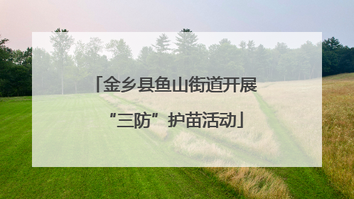金乡县鱼山街道开展“三防”护苗活动