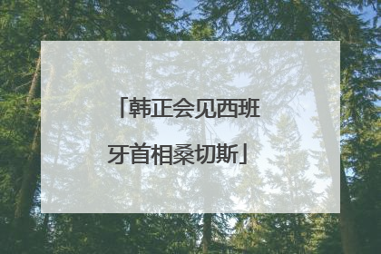 韩正会见西班牙首相桑切斯